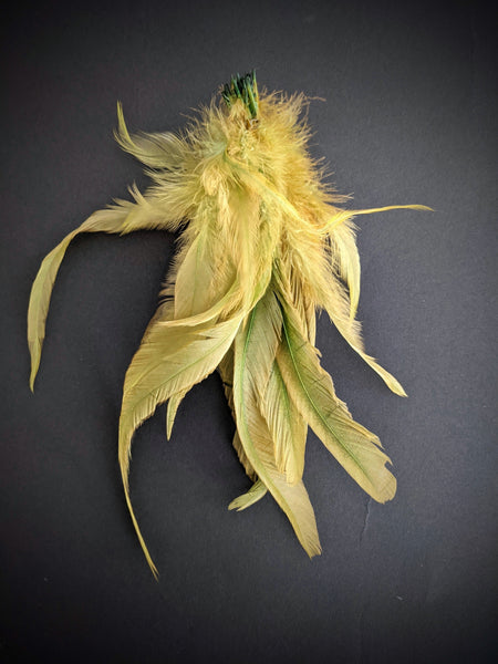All Purpose Schlappen Feathers